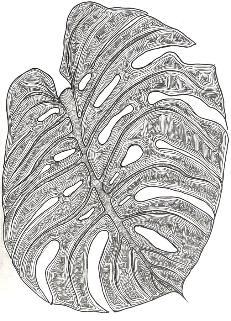 Black Monstera