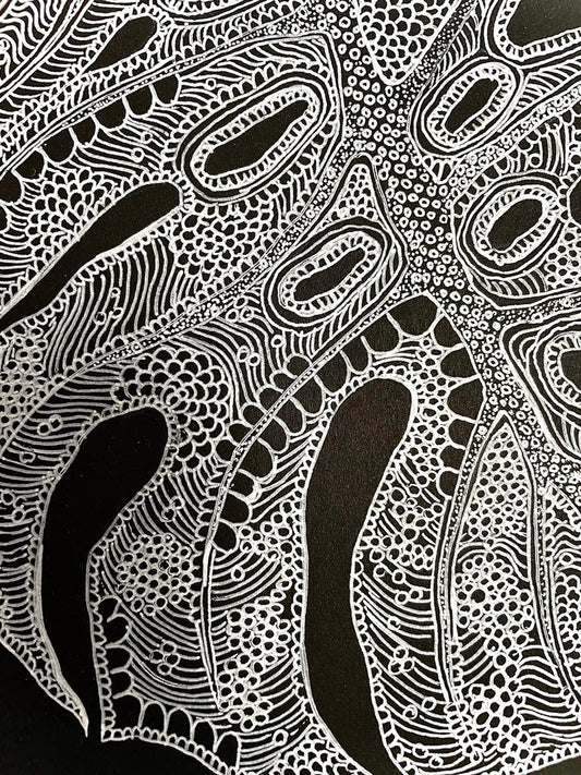 Original White Monstera