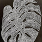 White Monstera